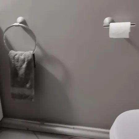 20 M2 S De B Et Wc Prives, Garage *